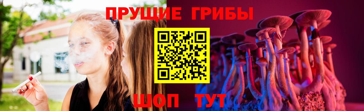 Людиново  Галлюциногенные грибы мухоморы  что такое наркотик  Вход с VPN 